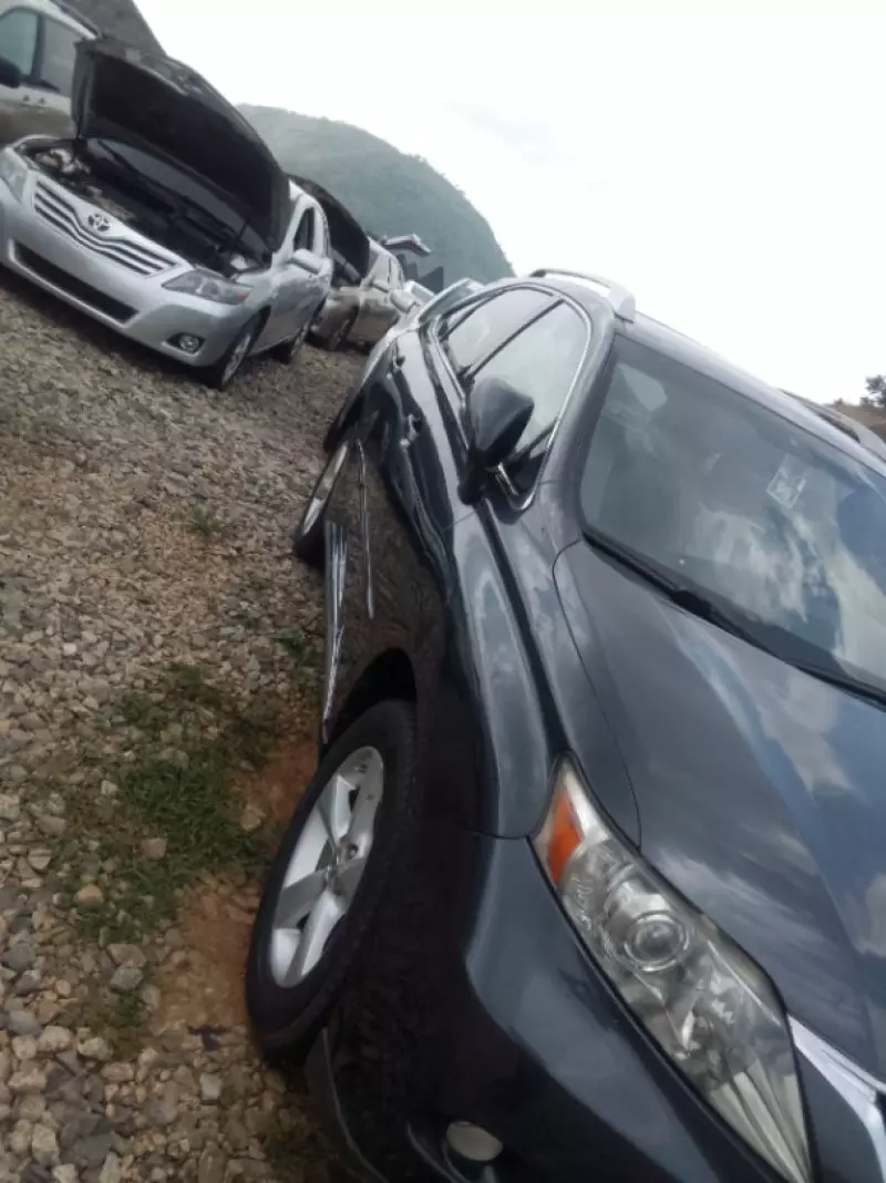 Lexus RX   - 2010
