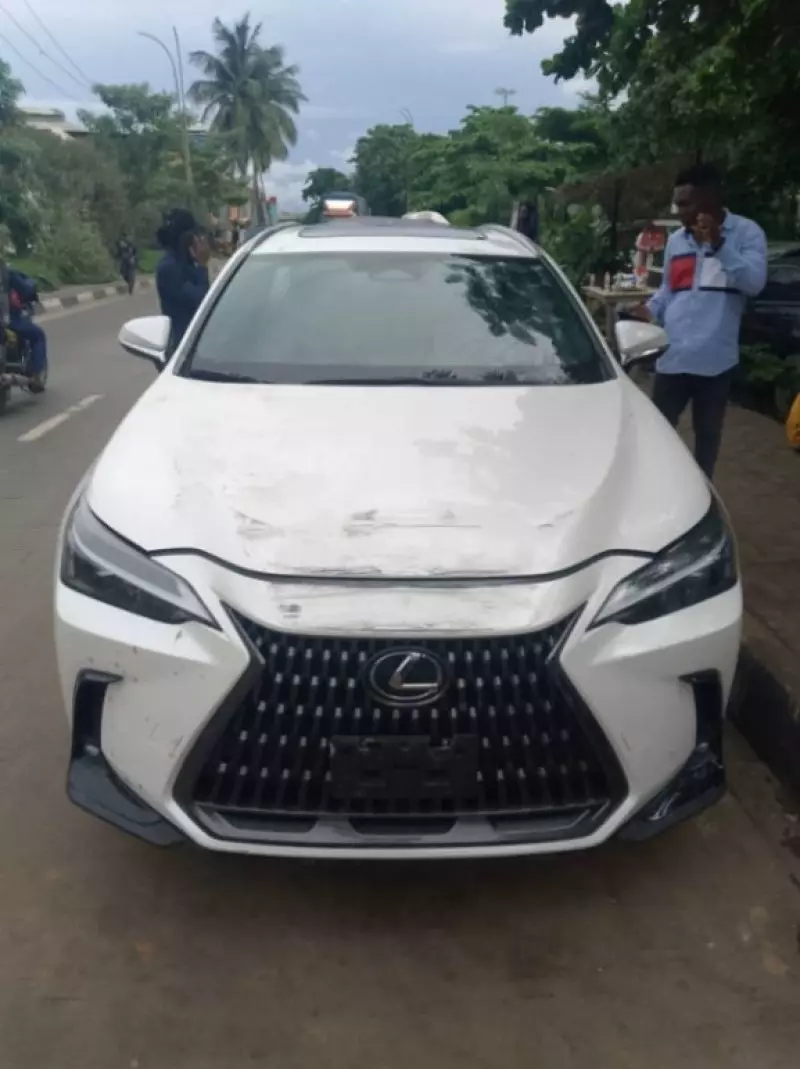 Lexus NX   - 2024