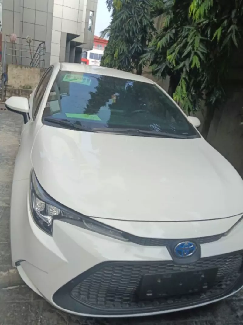 TOYOTA Levin   - 2021