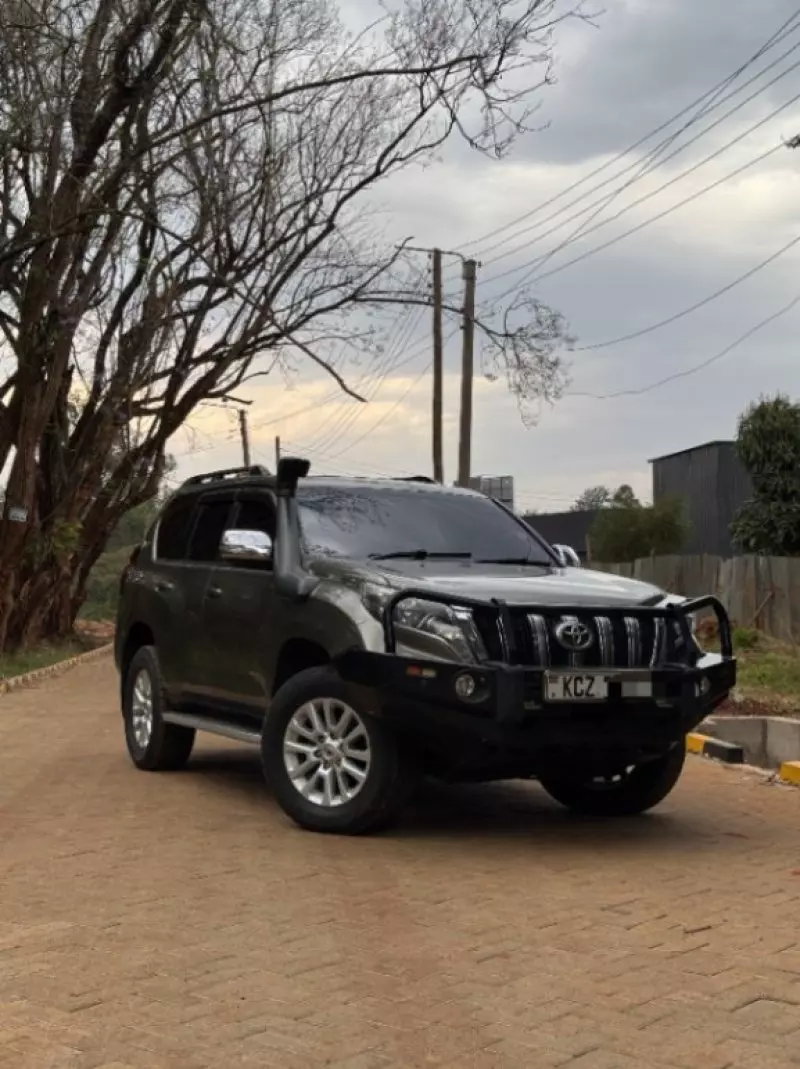Toyota Land Cruiser   - 2013
