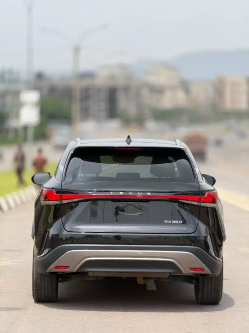 Lexus RX   - 2024
