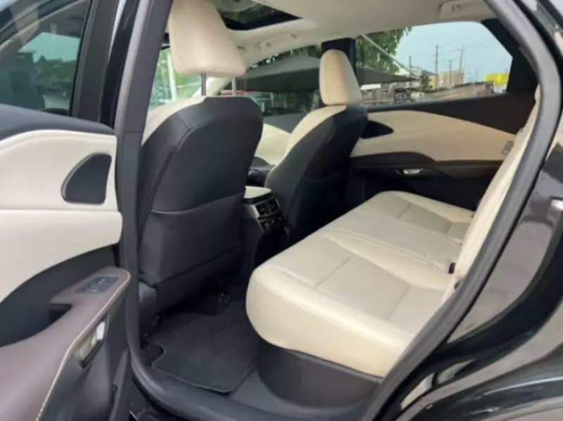 Lexus RX   - 2024