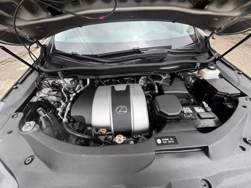 Lexus RX 350   - 2019