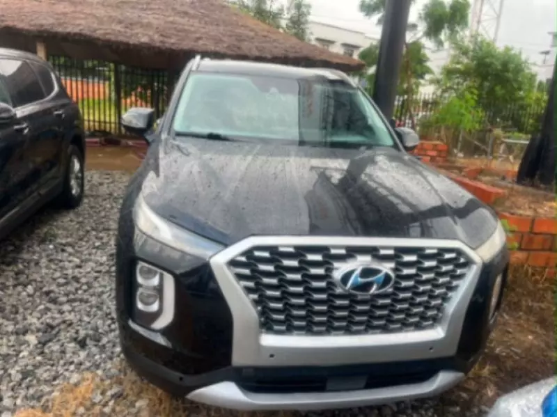 Hyundai Palisade   - 2019