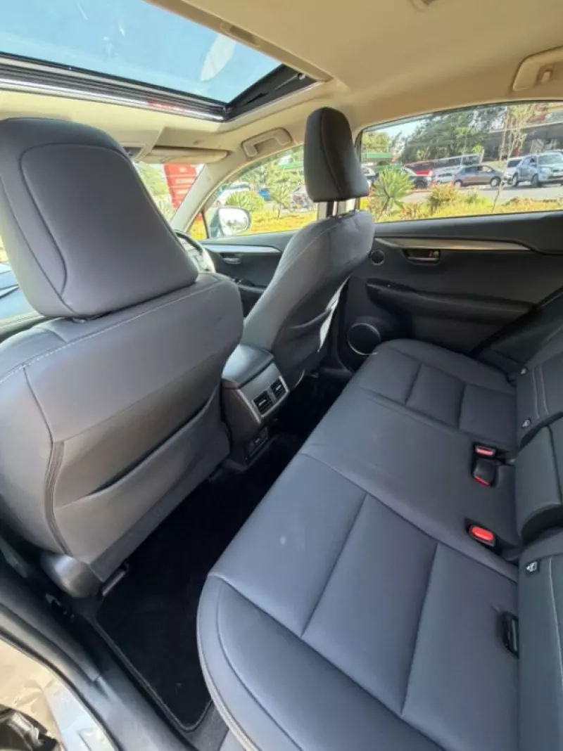 Lexus NX 300   - 2019