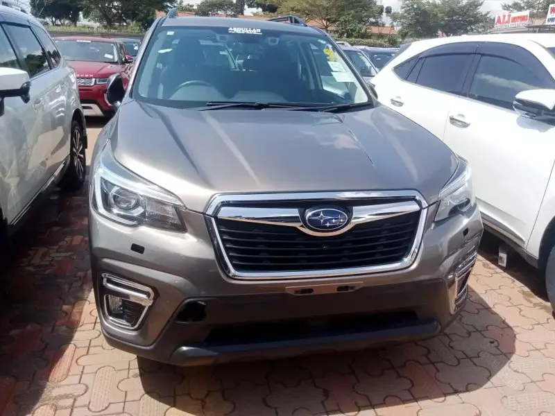 Subaru Forester   - 2019