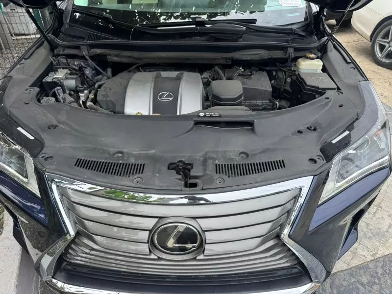 Lexus RX 350   - 2017