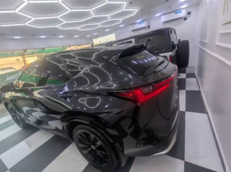 Lexus NX300h Hybrid   - 2022