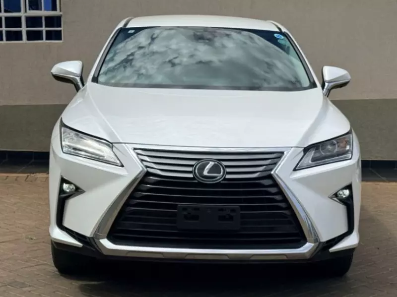 Lexus RX 300   - 2019