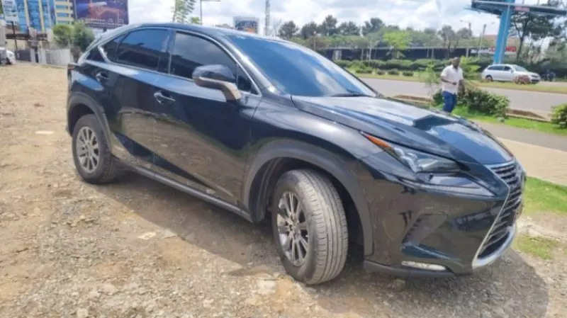 Lexus NX   - 2018