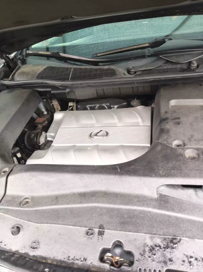 Lexus RX 350   - 2009