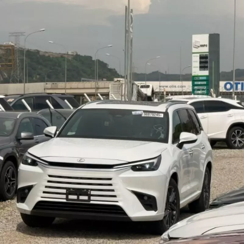 Lexus TX   - 2025