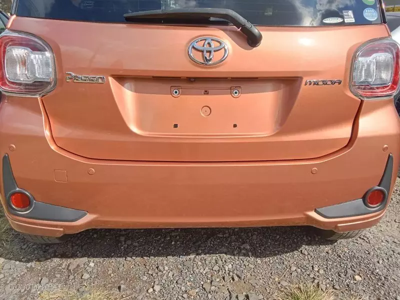 TOYOTA Passo   - 2019