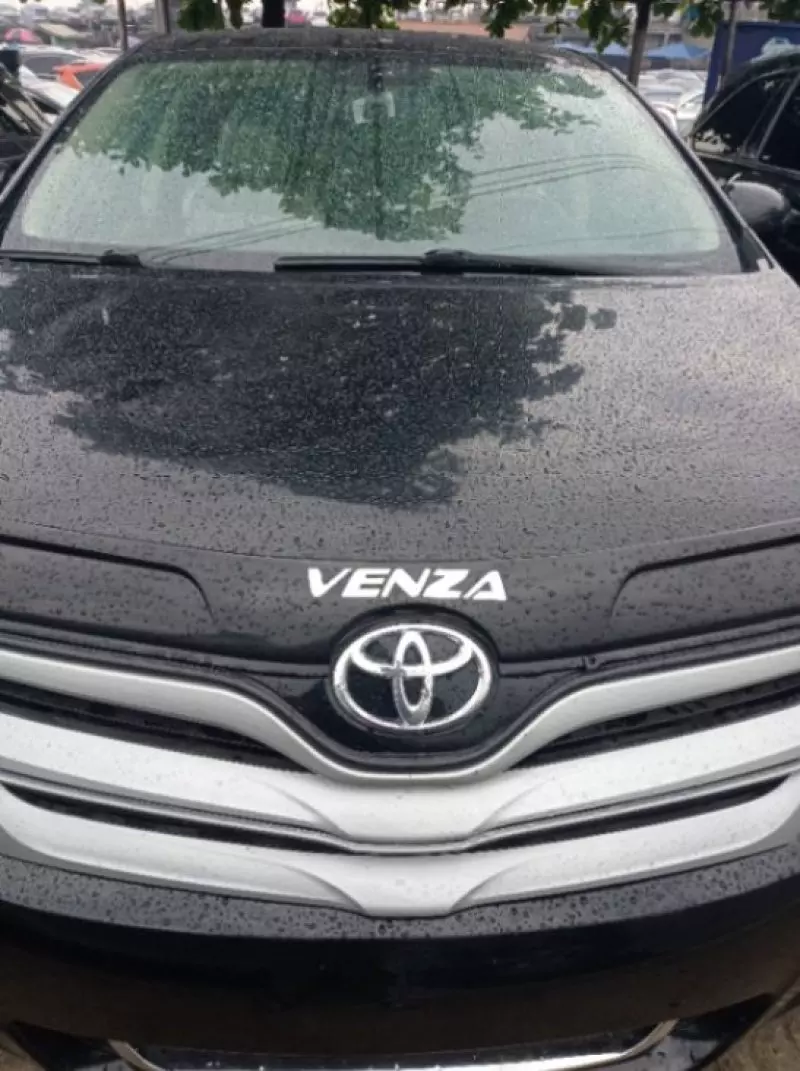 Toyota Venza   - 2009