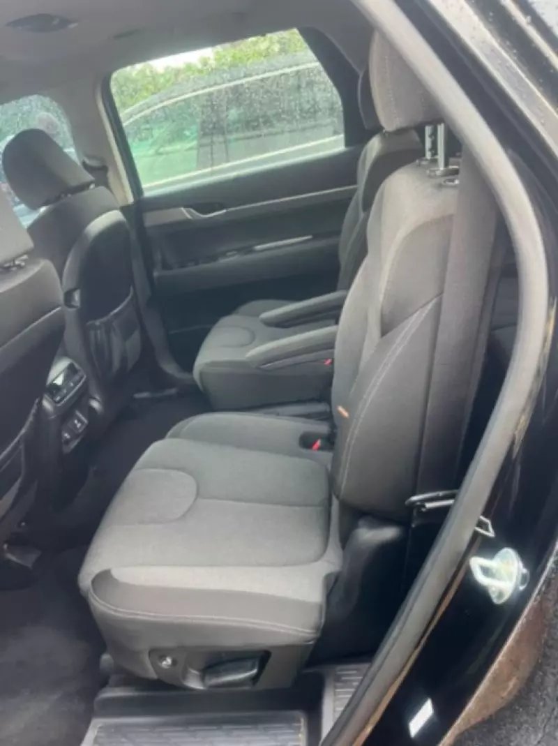 Hyundai Palisade   - 2019