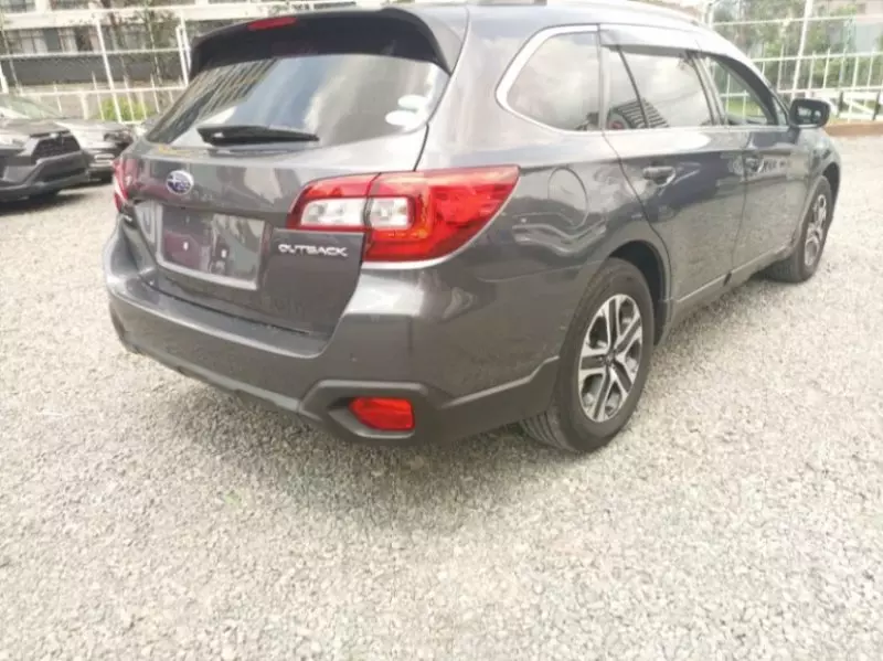 Subaru Outback   - 2019