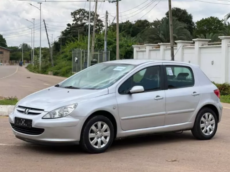 Peugeot 307   - 2008