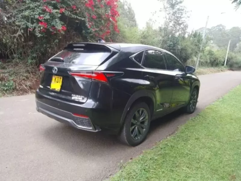 Lexus NX300h Hybrid   - 2018
