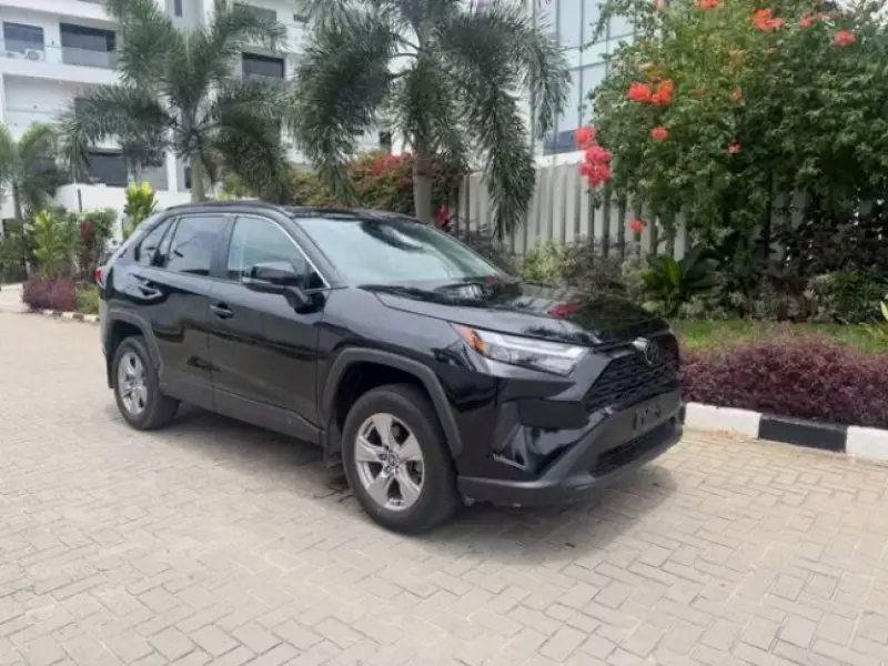 TOYOTA RAV4   - 2024