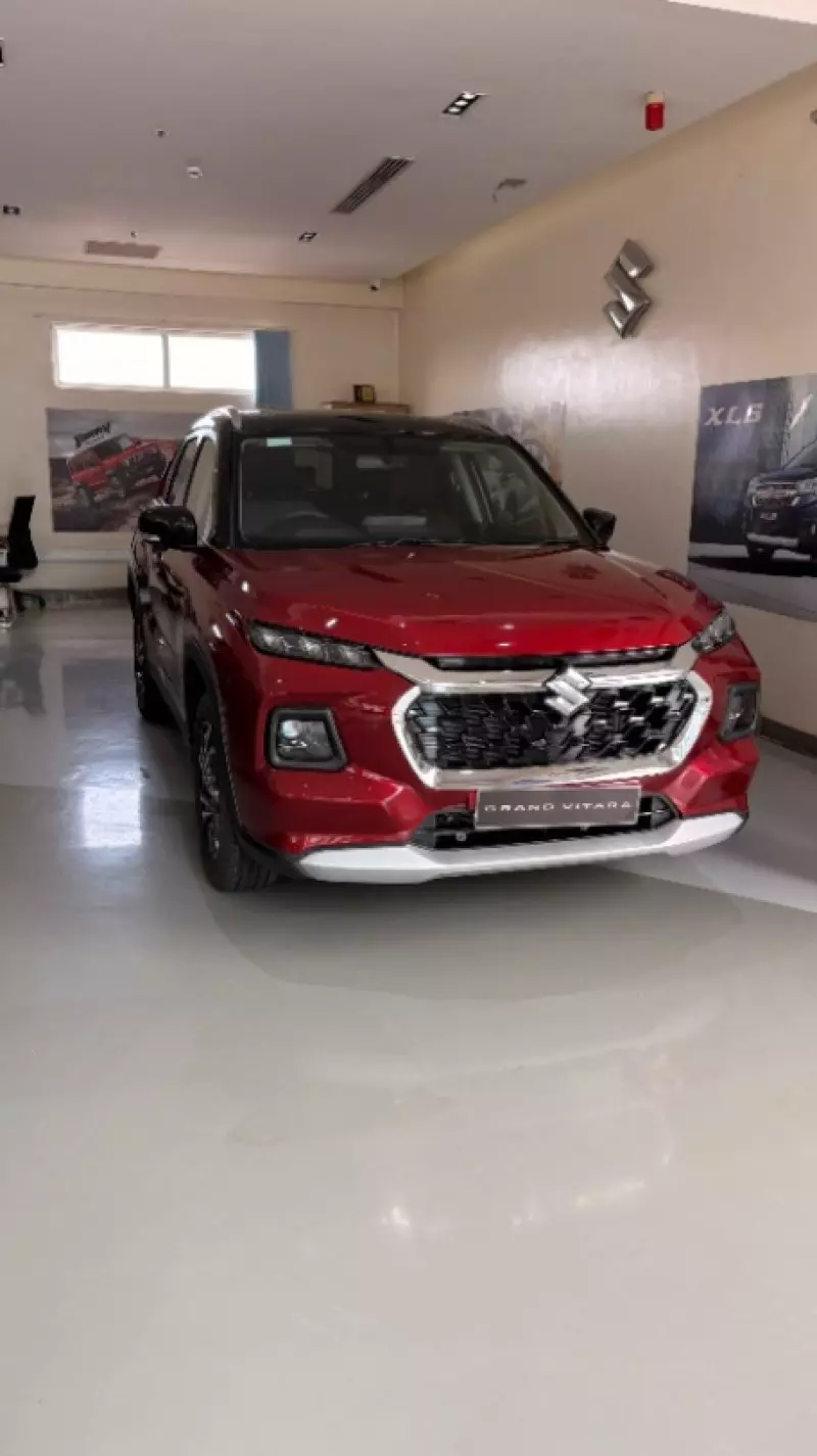 SUZUKI Grand Vitara - 2025