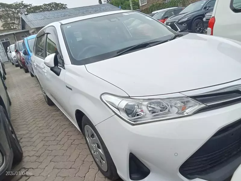 TOYOTA Fielder hybrid - 2018