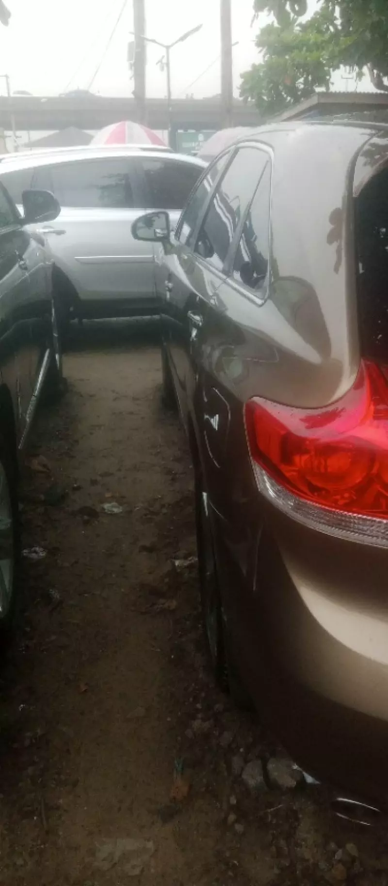 Toyota Venza   - 2010