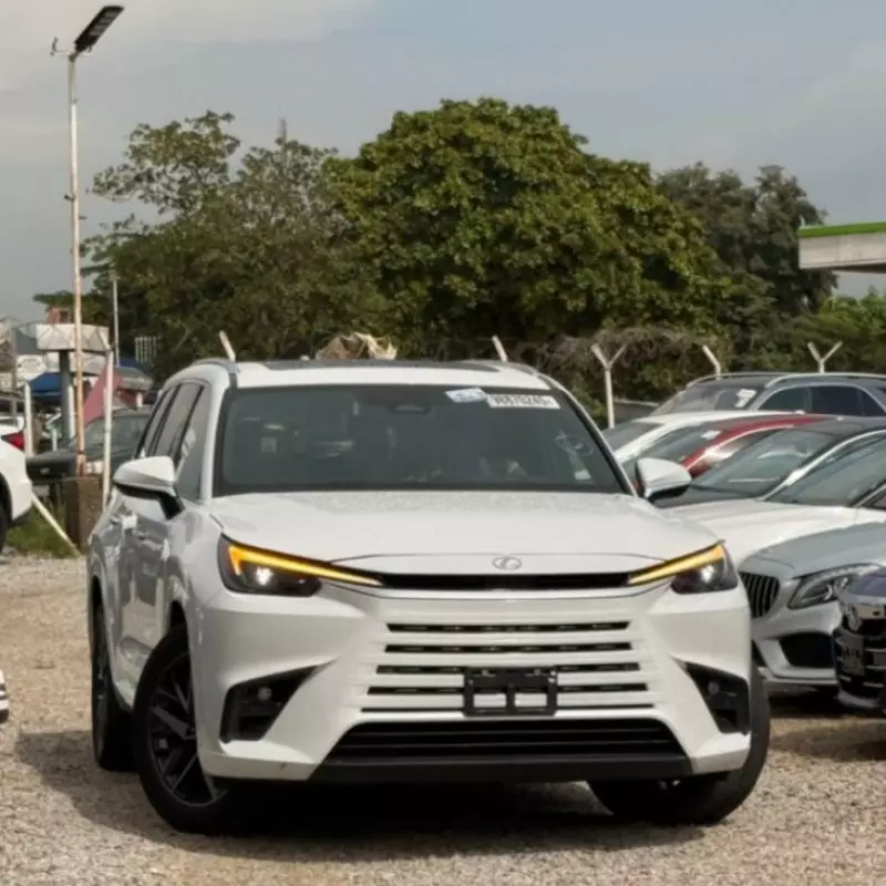 Lexus TX   - 2025