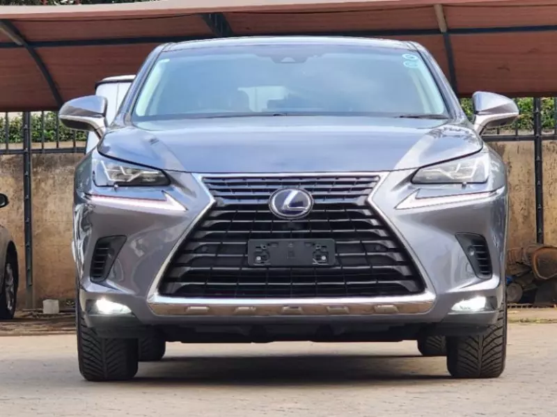 Lexus NX300h Hybrid   - 2019