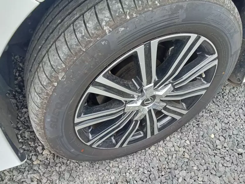 Lexus LX 570 - 2019