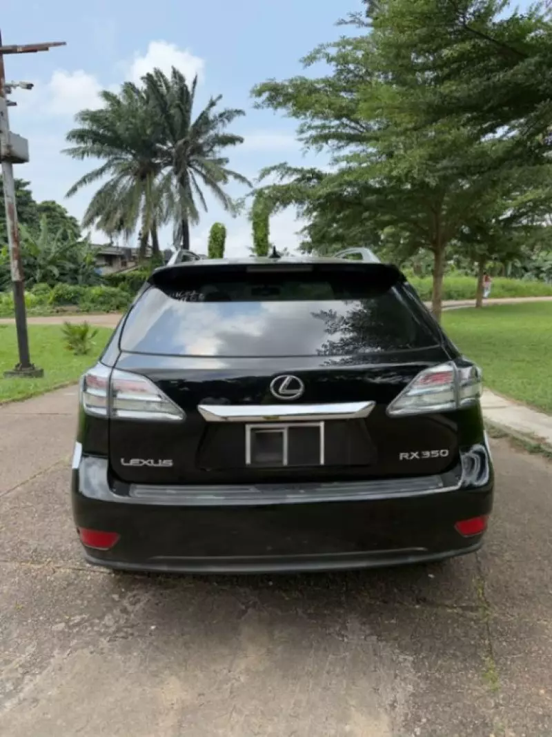 Lexus RX   - 2010