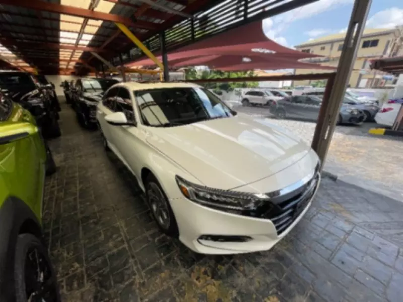 Honda Accord   - 2019