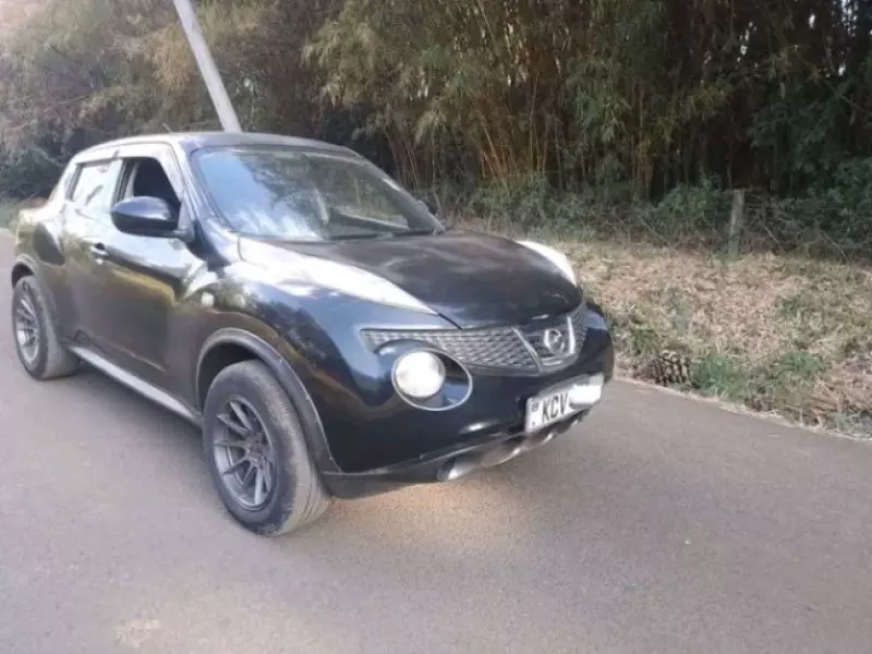 Nissan Juke   - 2011