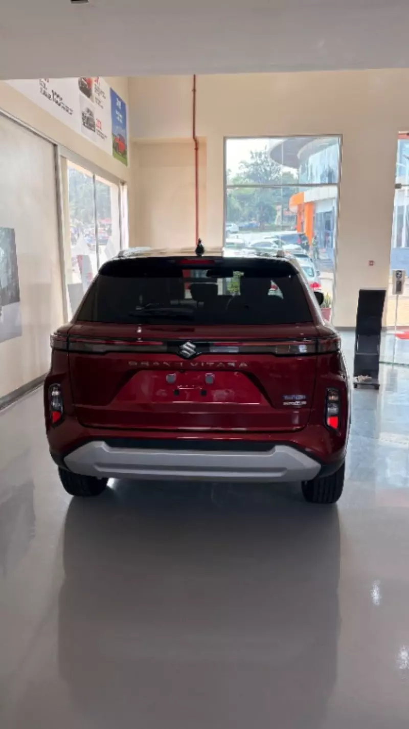 SUZUKI Grand Vitara - 2025