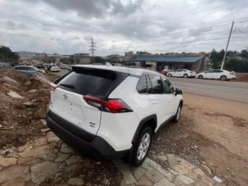 TOYOTA RAV4   - 2019