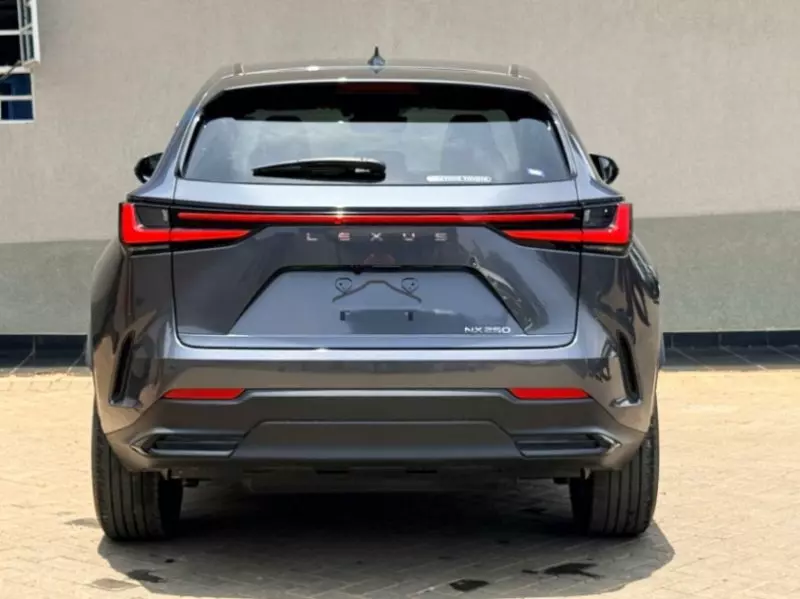 Lexus NX 200T - 2022