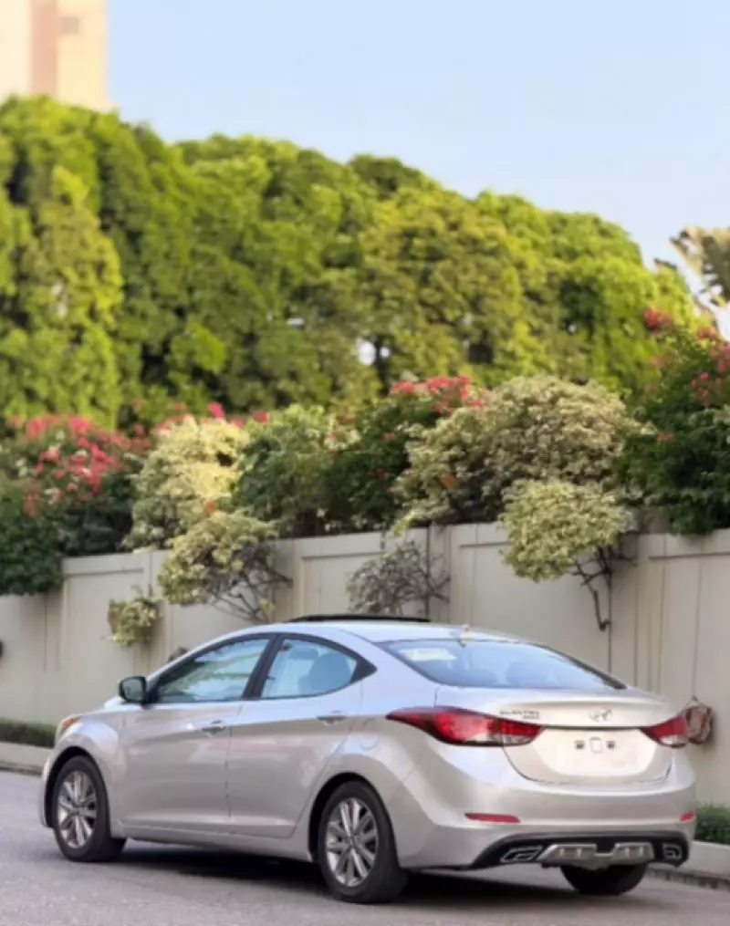 Hyundai Elantra   - 2015