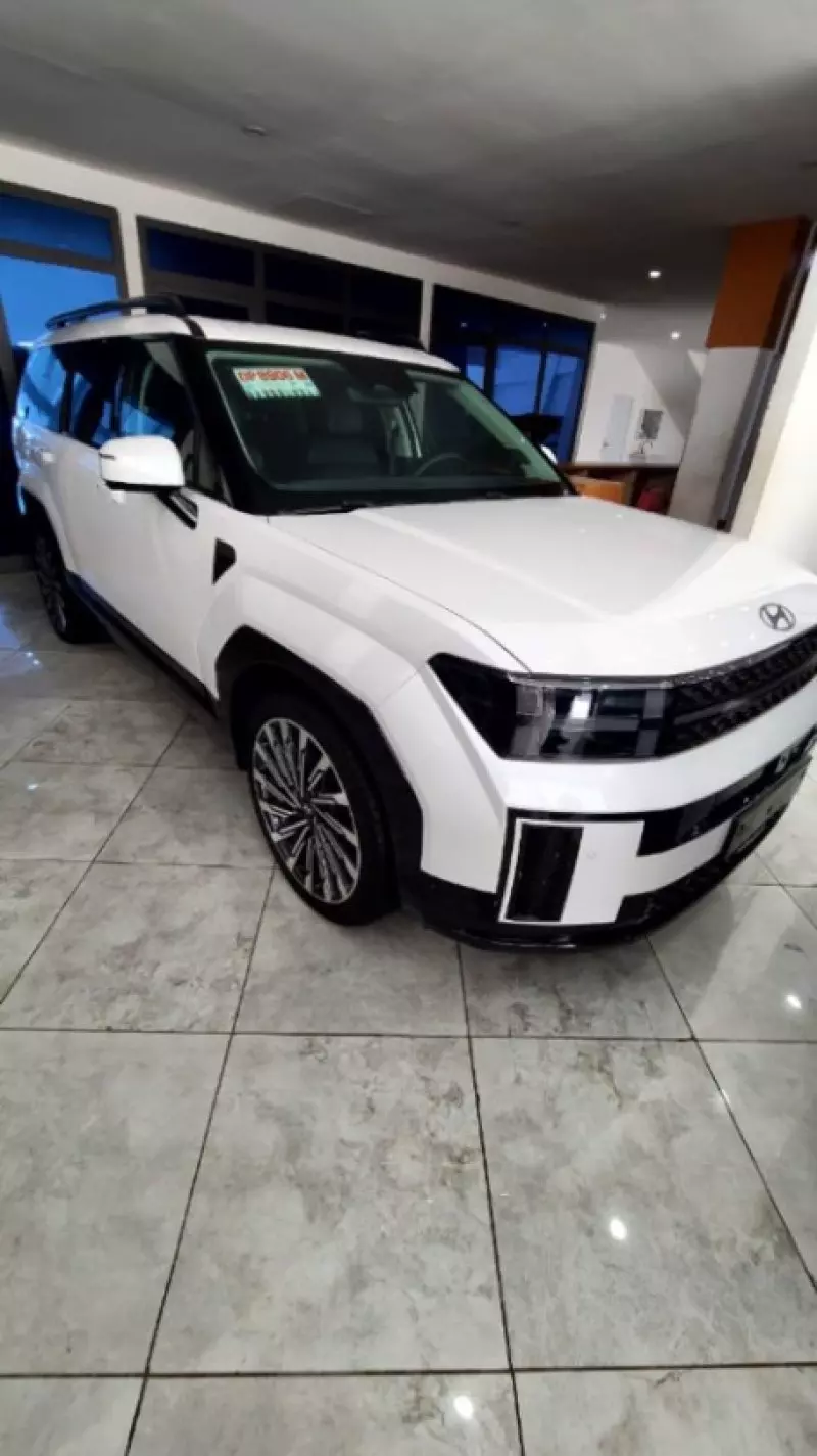 Hyundai Santa Fe   - 2024