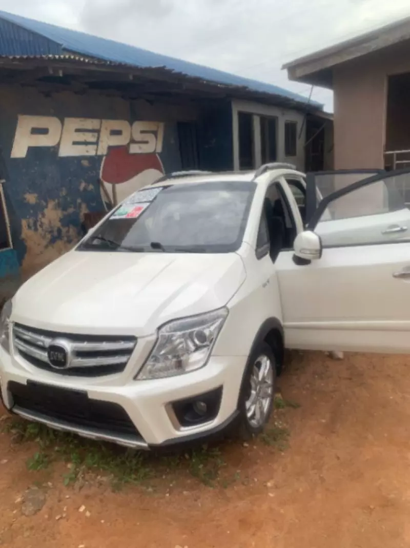 IVM Caris   - 2020