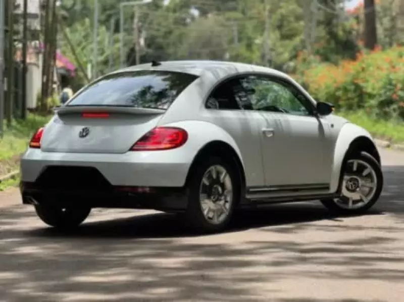 Volkswagen Beetle   - 2019