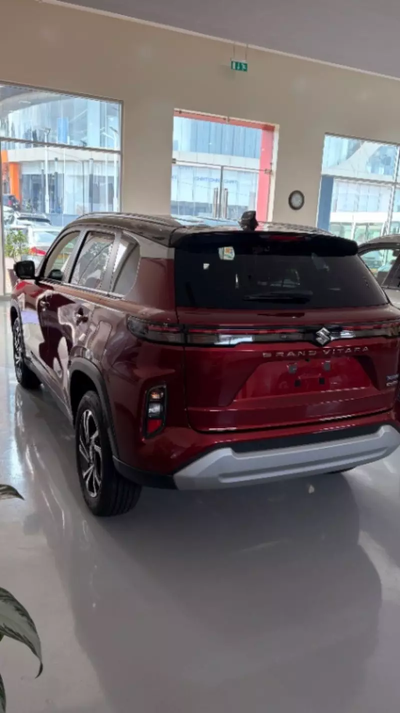 SUZUKI Grand Vitara - 2025
