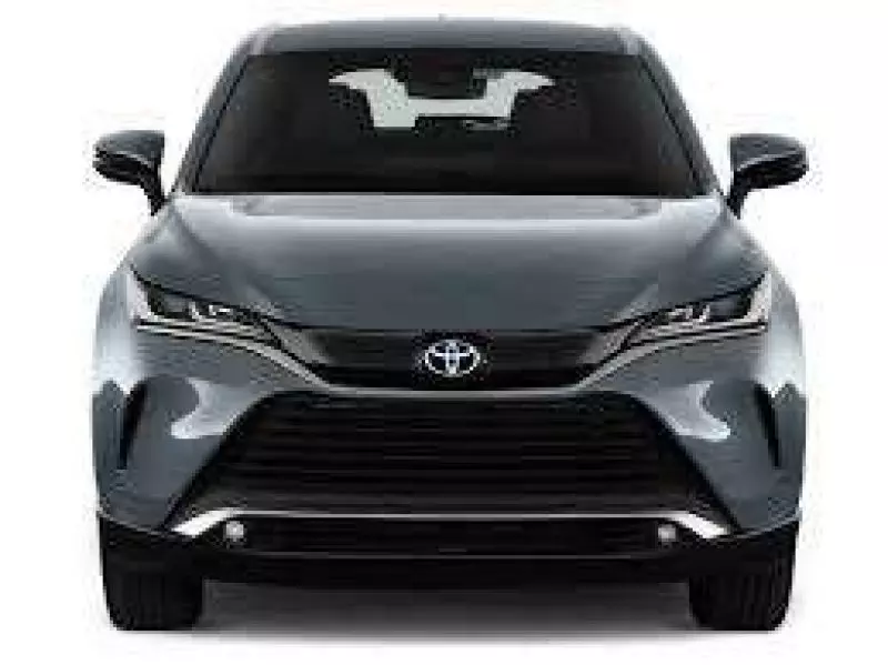 TOYOTA Venza   - 2024
