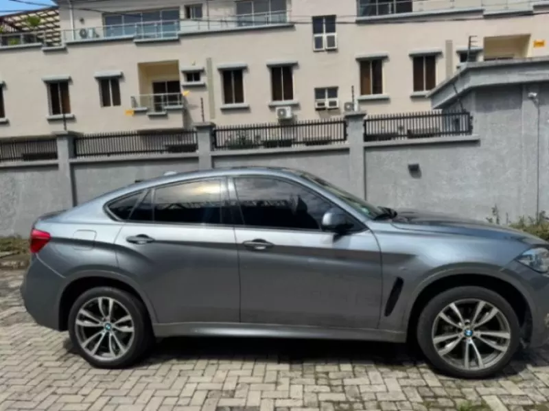 BMW X6 - 2010