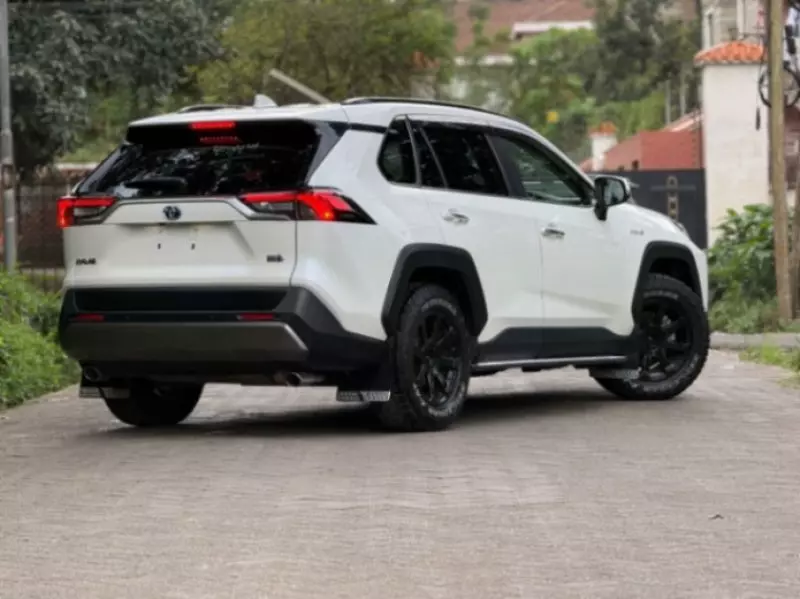 TOYOTA RAV 4 - 2020