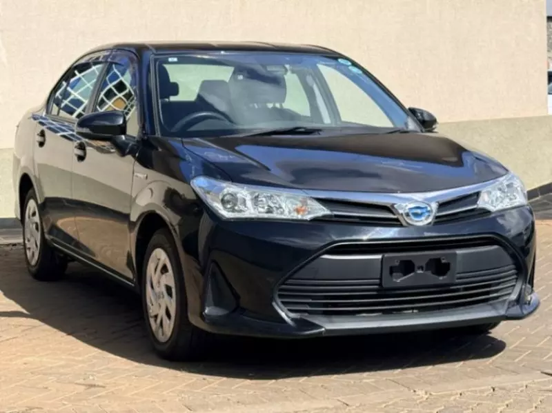 Toyota Axio    - 2019