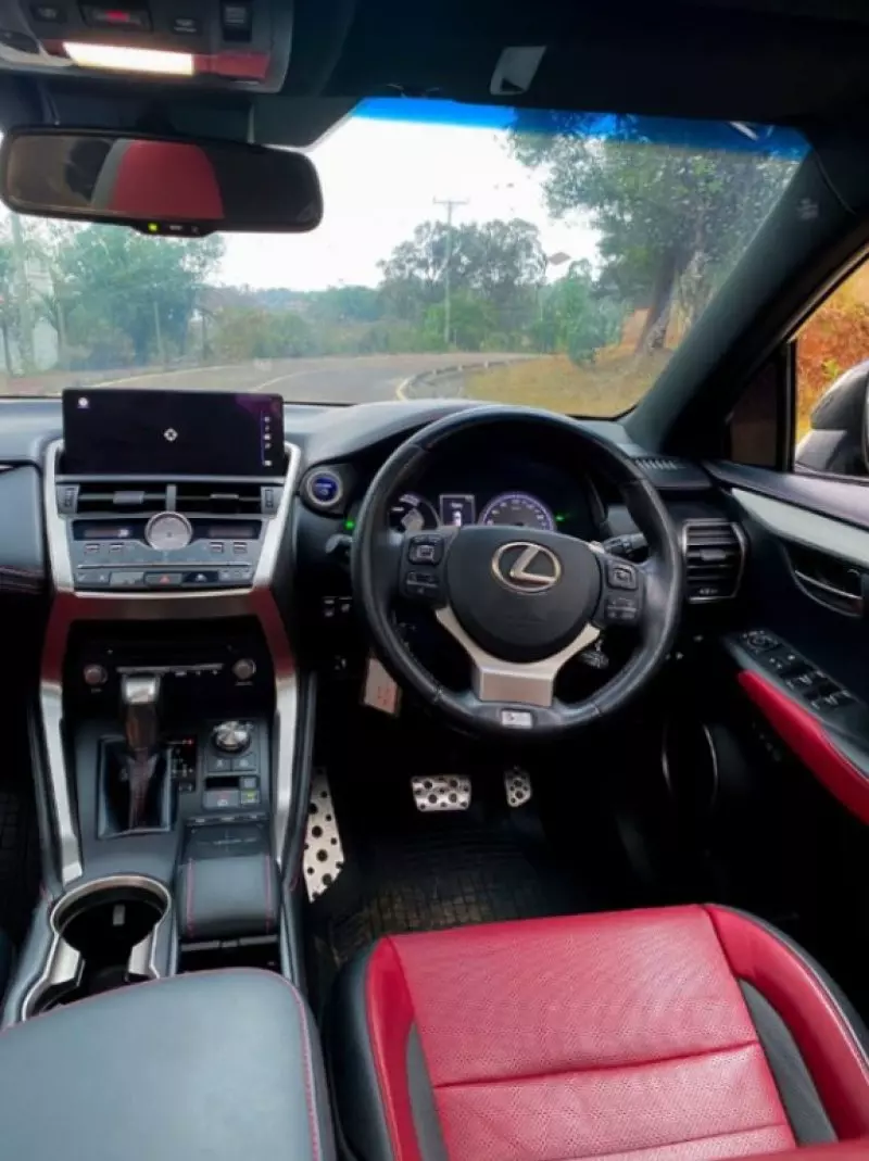 Lexus NX   - 2018