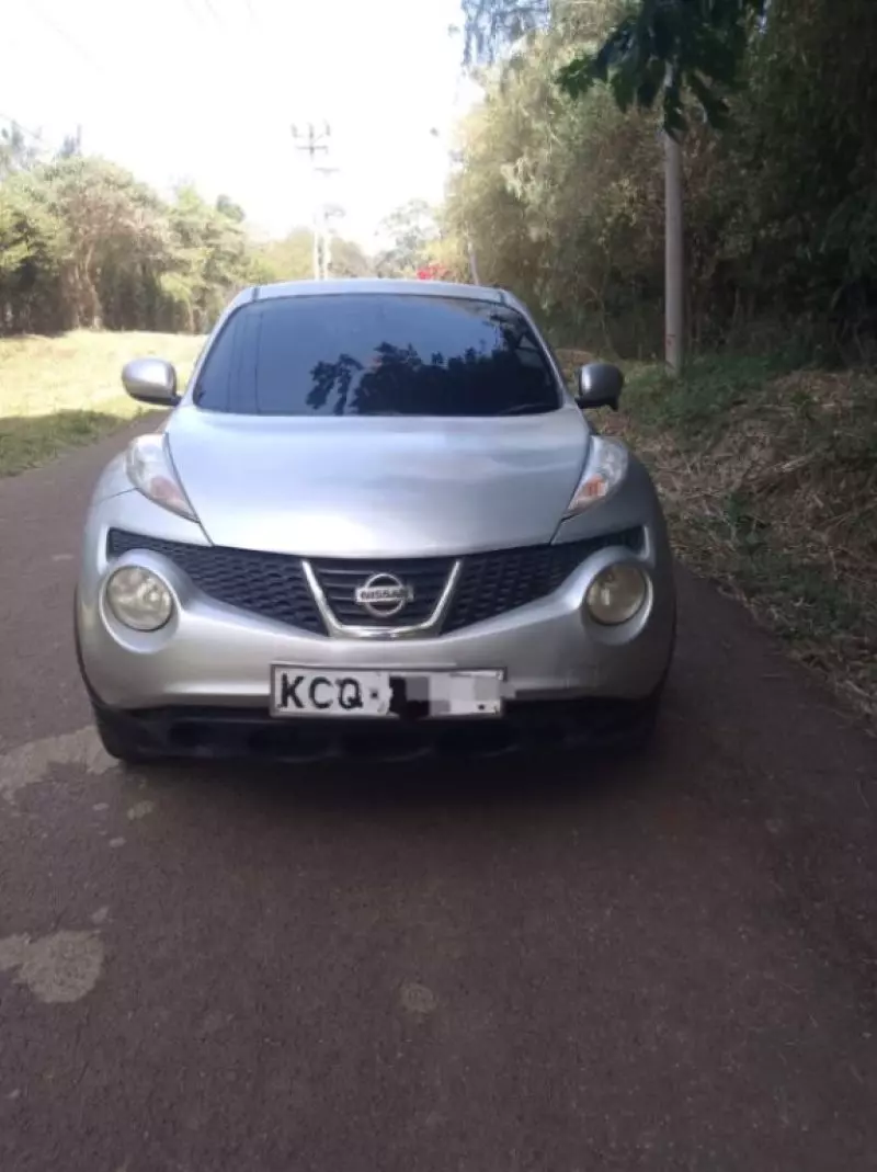 Nissan Juke   - 2010