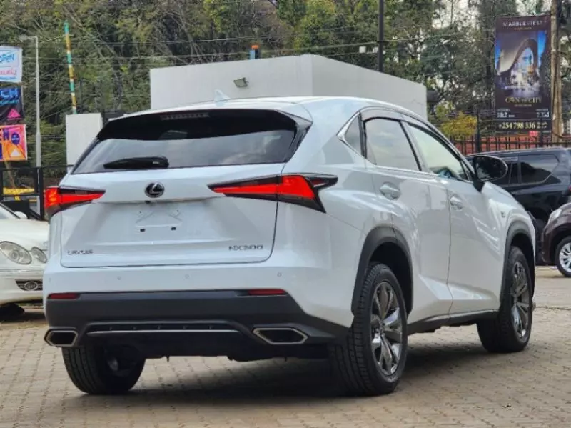 Lexus NX 300   - 2019
