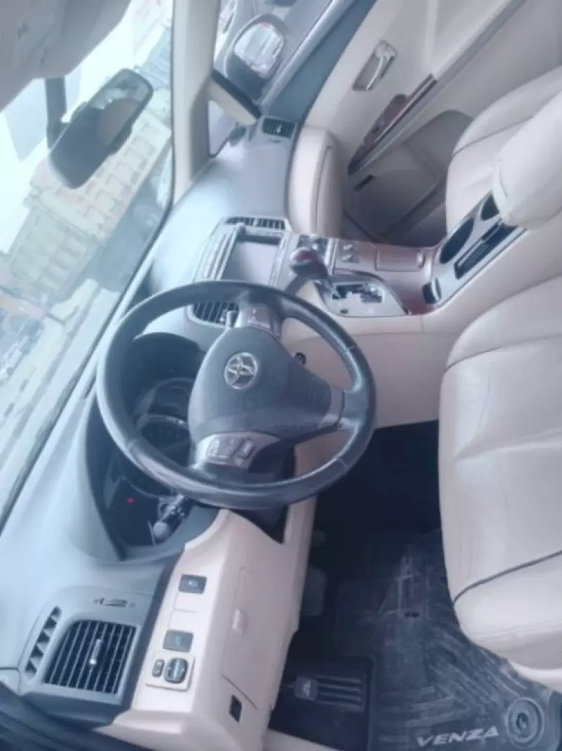 Toyota Venza   - 2010