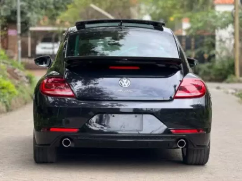 Volkswagen Beetle   - 2019