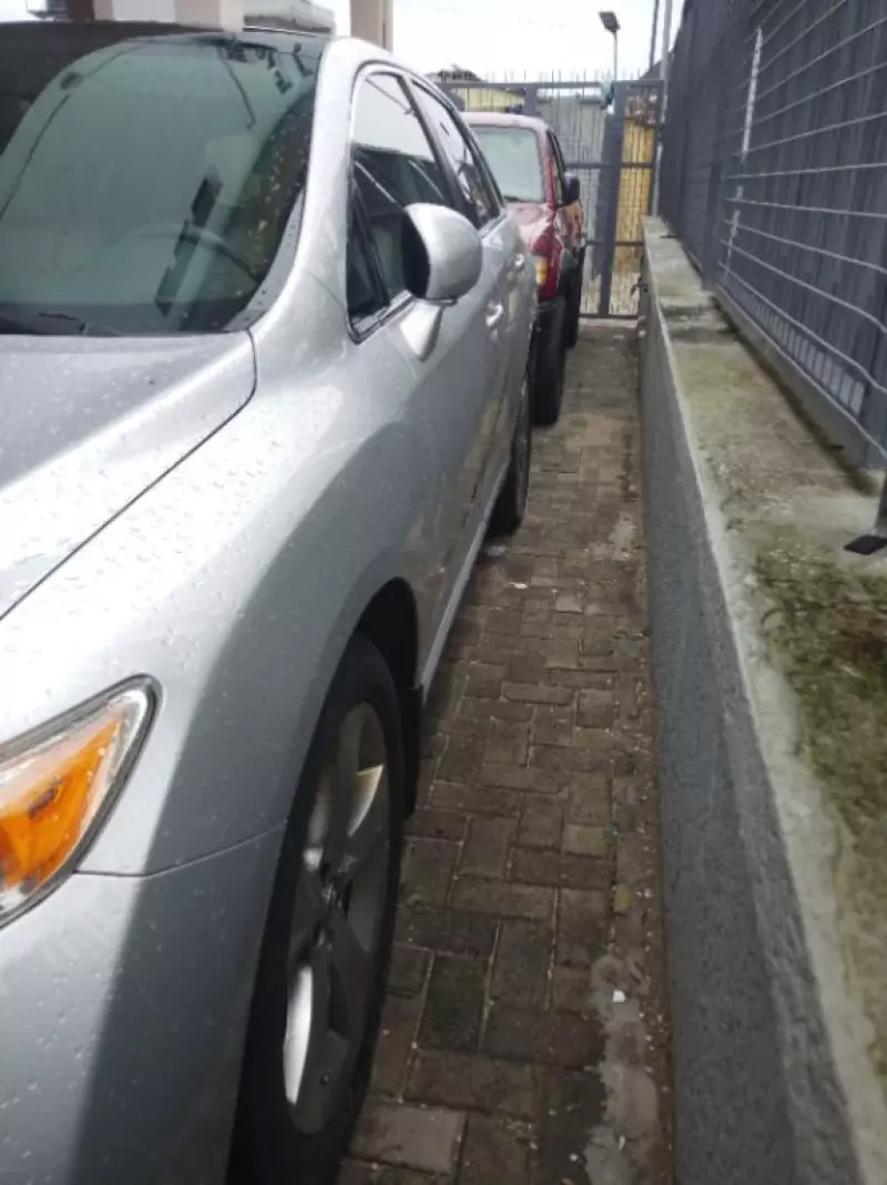 Toyota Venza - 2010